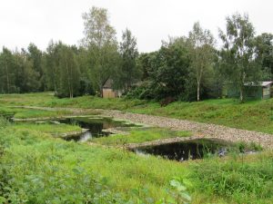 IMG_1721